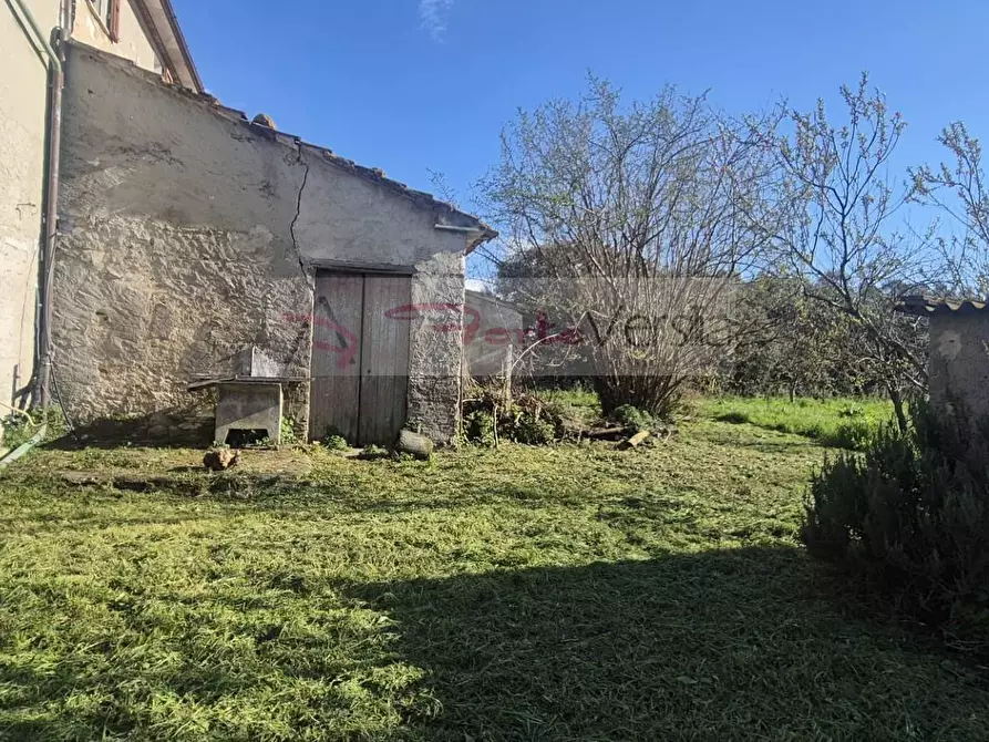 Immagine 10 di Rustico / casale in vendita  a Seravezza