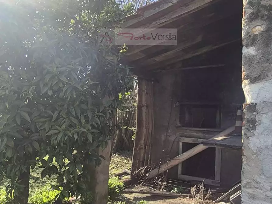 Immagine 11 di Rustico / casale in vendita  a Seravezza