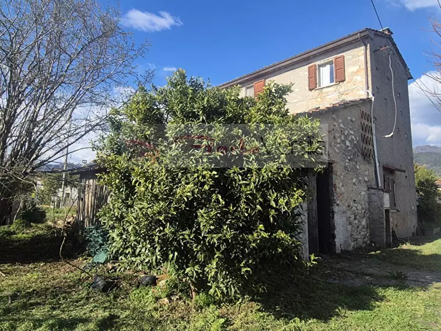 Immagine 2 di Rustico / casale in vendita  a Seravezza