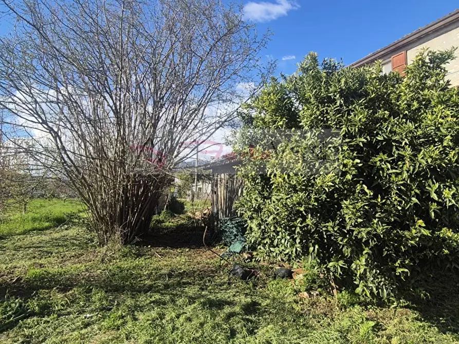 Immagine 3 di Rustico / casale in vendita  a Seravezza