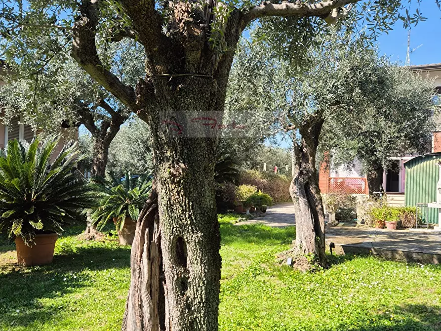 Immagine 17 di Casa indipendente in affitto  a Forte Dei Marmi