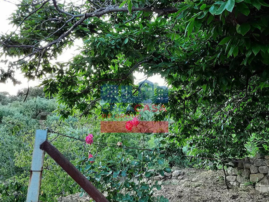 Immagine 4 di Terreno agricolo in vendita  in muscianò a Graniti