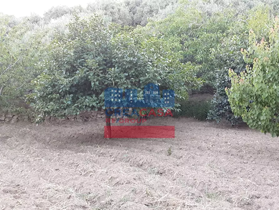 Immagine 6 di Terreno agricolo in vendita  in muscianò a Graniti