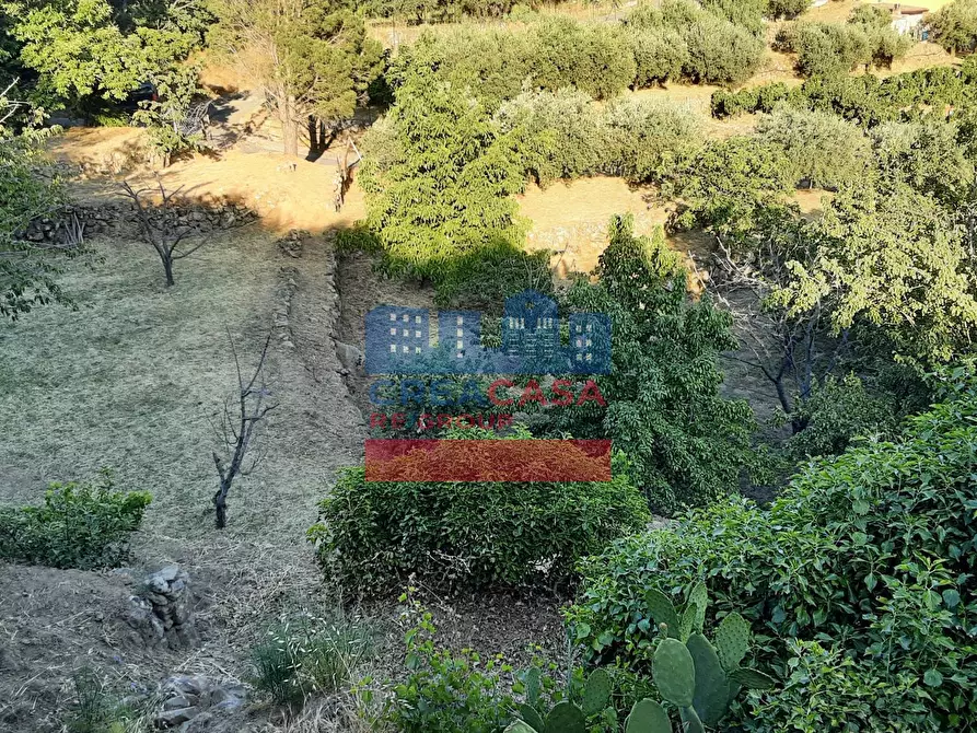 Immagine 10 di Terreno agricolo in vendita  in muscianò a Graniti