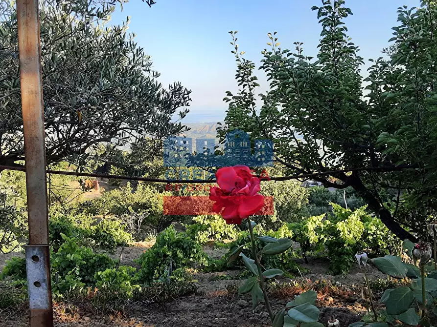 Immagine 16 di Villa in vendita  in muscianò a Graniti