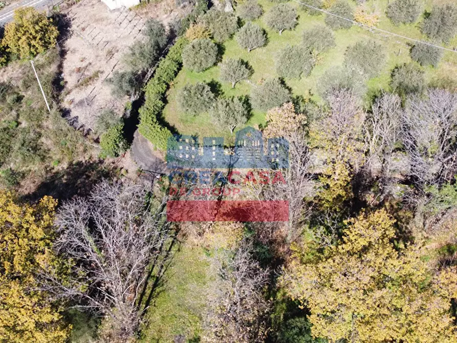 Immagine 8 di Terreno agricolo in vendita  in VIA FELICE a Linguaglossa