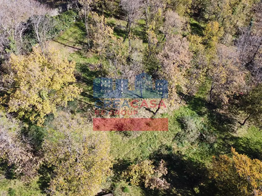 Immagine 7 di Terreno agricolo in vendita  in VIA FELICE a Linguaglossa