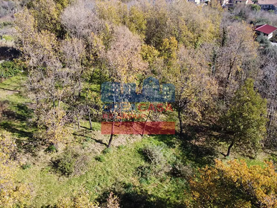 Immagine 9 di Terreno agricolo in vendita  in VIA FELICE a Linguaglossa
