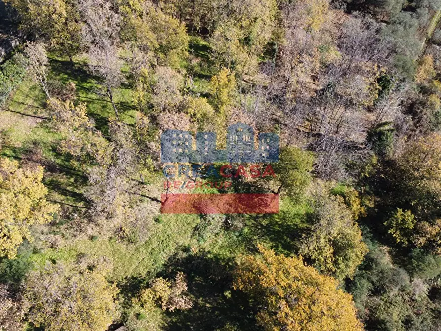 Immagine 10 di Terreno agricolo in vendita  in VIA FELICE a Linguaglossa