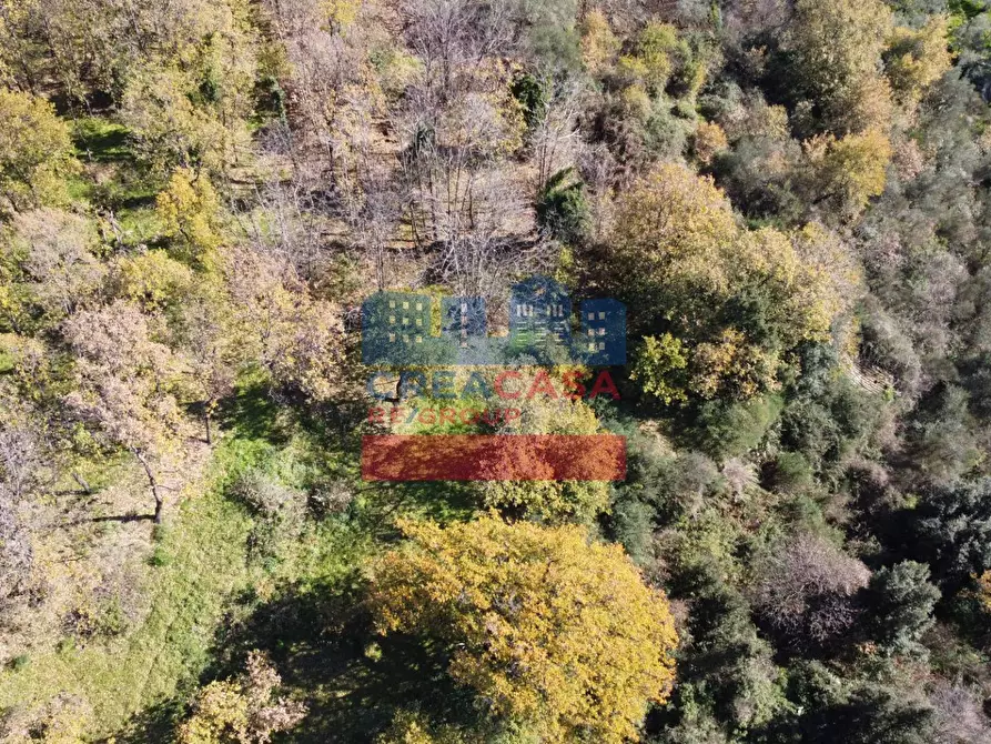 Immagine 11 di Terreno agricolo in vendita  in VIA FELICE a Linguaglossa