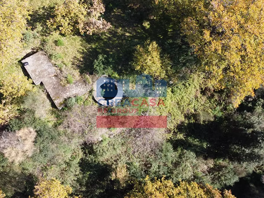 Immagine 13 di Terreno agricolo in vendita  in VIA FELICE a Linguaglossa