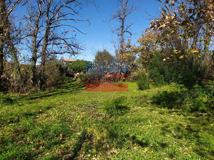 Immagine 14 di Terreno agricolo in vendita  in VIA FELICE a Linguaglossa