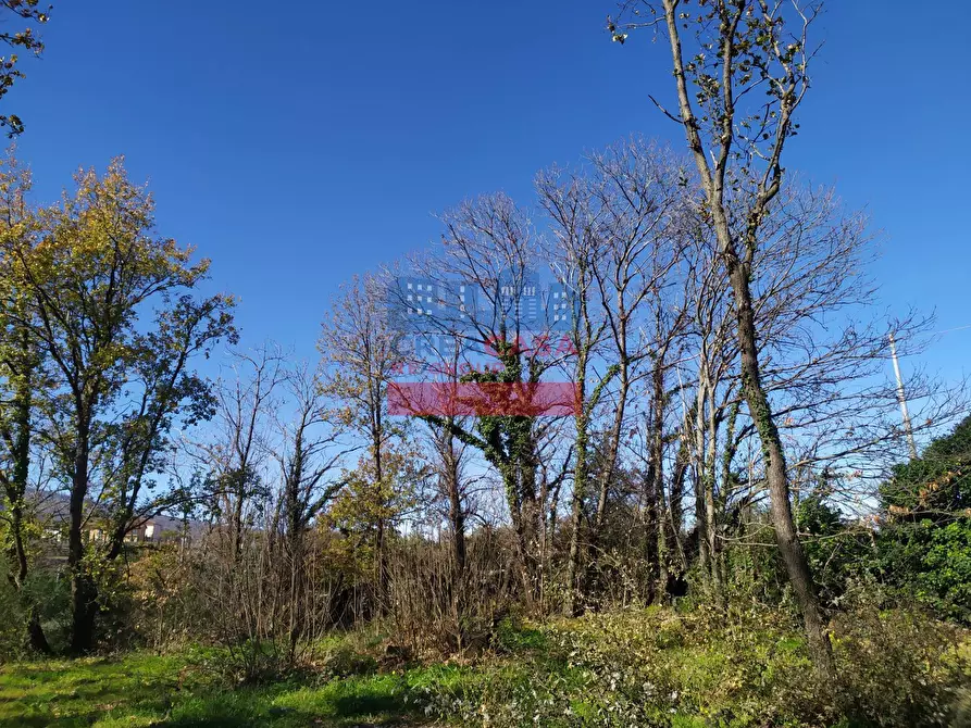 Immagine 4 di Terreno agricolo in vendita  in VIA FELICE a Linguaglossa