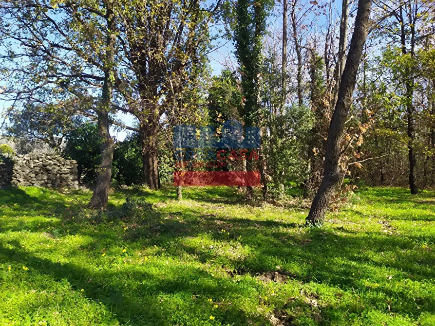 Immagine 3 di Terreno agricolo in vendita  in VIA FELICE a Linguaglossa