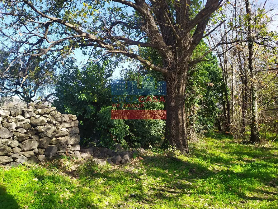 Immagine 15 di Terreno agricolo in vendita  in VIA FELICE a Linguaglossa