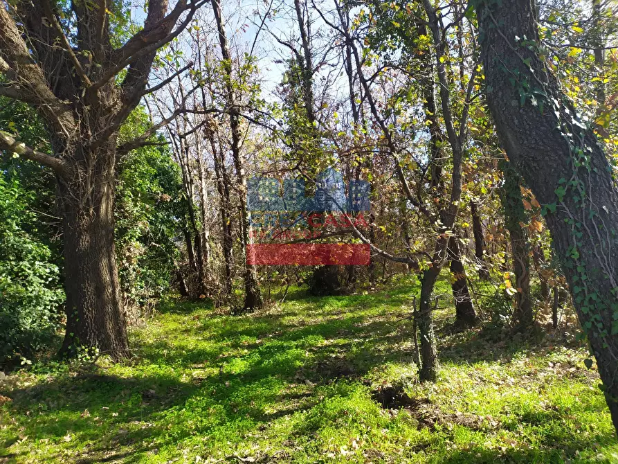 Immagine 6 di Terreno agricolo in vendita  in VIA FELICE a Linguaglossa