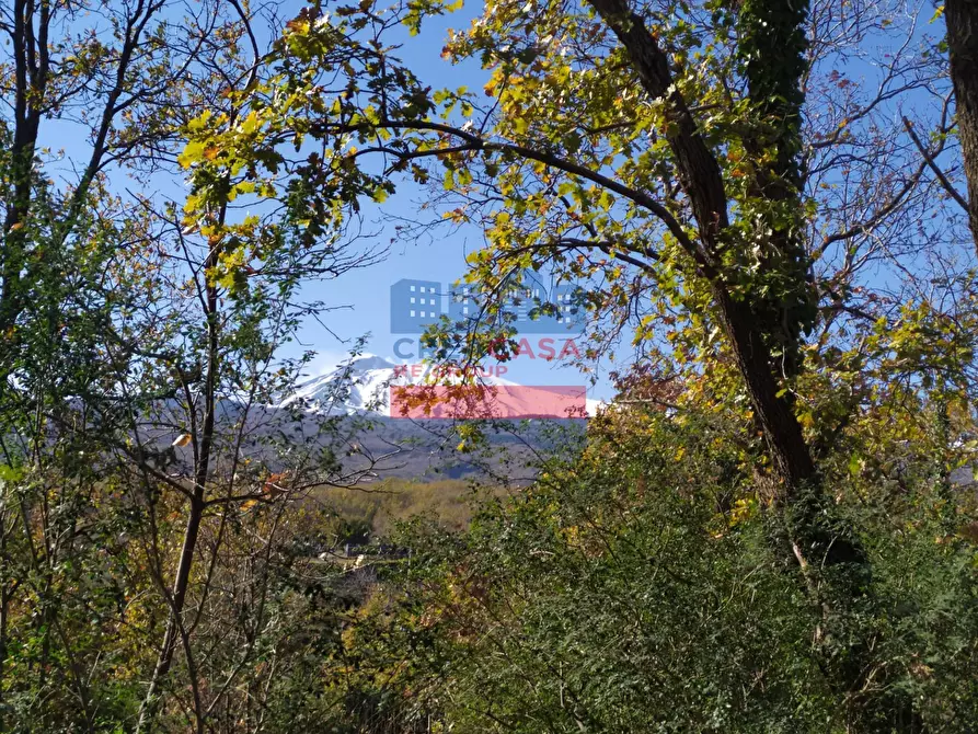 Immagine 16 di Terreno agricolo in vendita  in VIA FELICE a Linguaglossa
