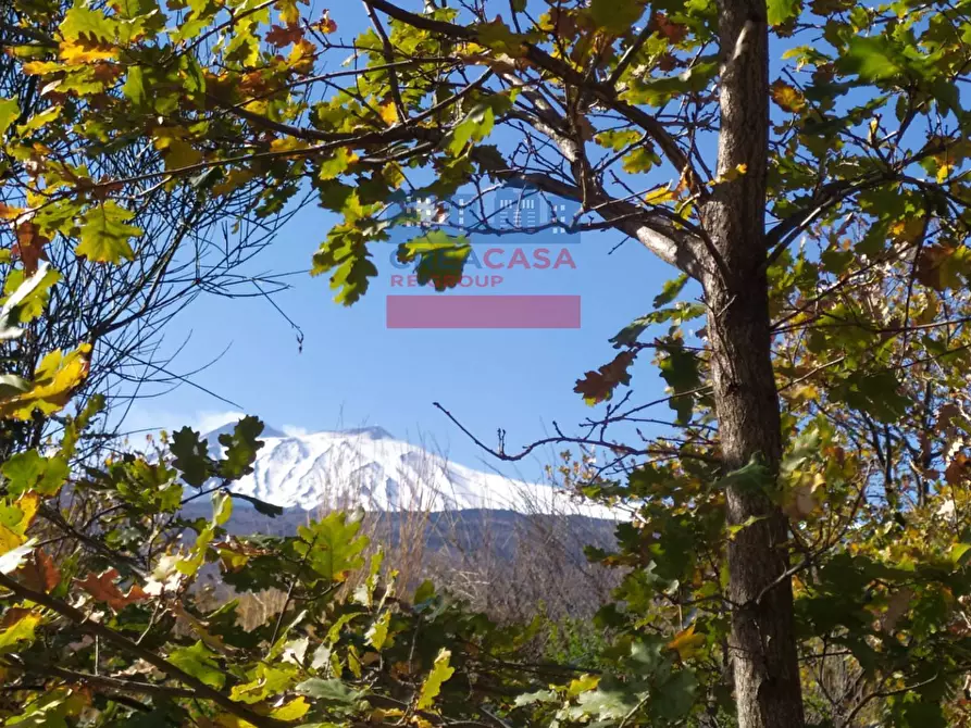 Immagine 17 di Terreno agricolo in vendita  in VIA FELICE a Linguaglossa