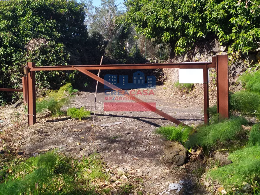 Immagine 19 di Terreno agricolo in vendita  in VIA FELICE a Linguaglossa