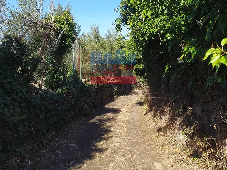 Immagine 18 di Terreno agricolo in vendita  in VIA FELICE a Linguaglossa