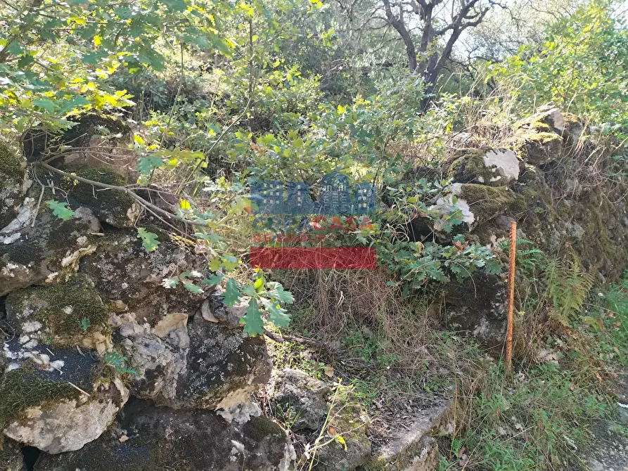 Immagine 4 di Terreno agricolo in vendita  in contrada baldazza a Linguaglossa