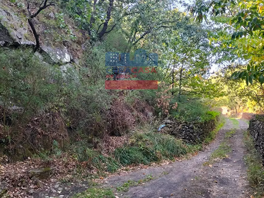 Immagine 8 di Terreno agricolo in vendita  in contrada baldazza a Linguaglossa