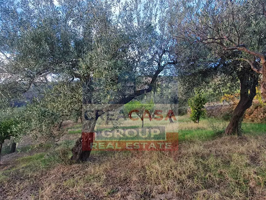 Immagine 8 di Terreno agricolo in vendita  a Graniti