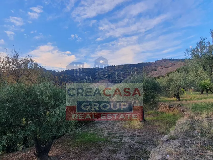 Immagine 10 di Terreno agricolo in vendita  a Graniti