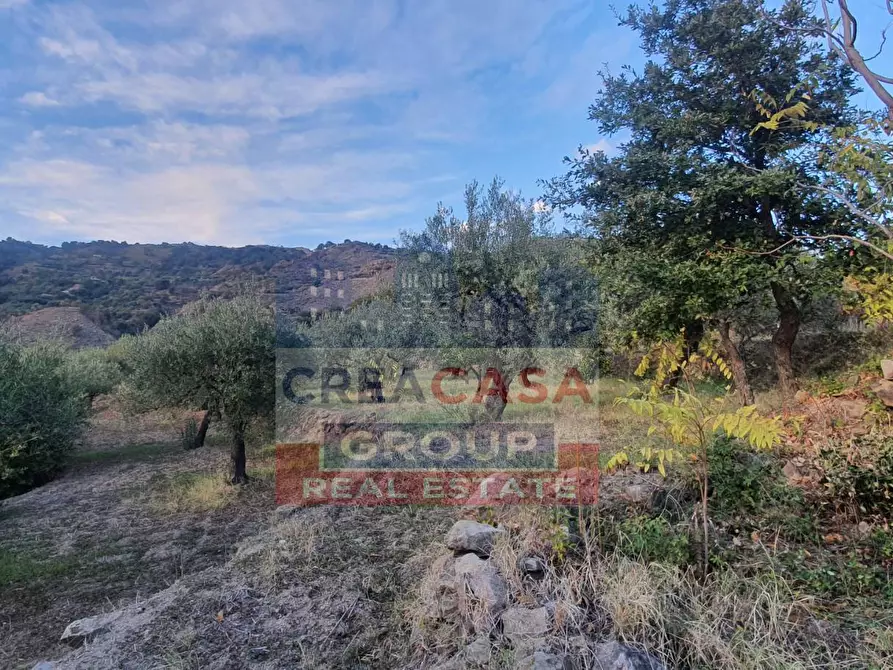 Immagine 11 di Terreno agricolo in vendita  a Graniti