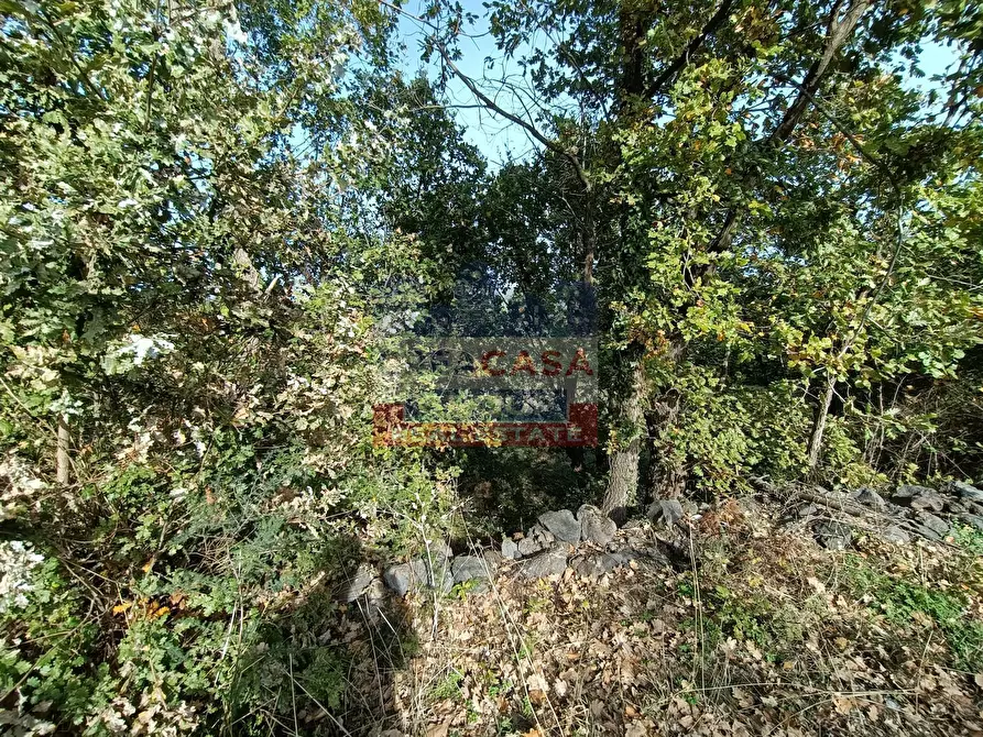 Immagine 6 di Terreno agricolo in vendita  in Contrada Arrigo a Linguaglossa