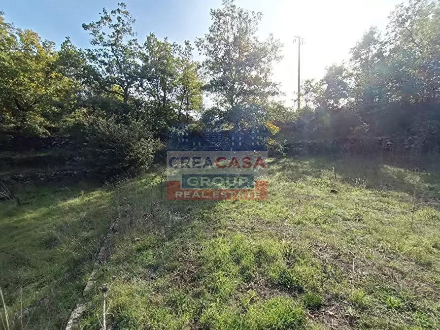 Immagine 7 di Terreno agricolo in vendita  in Contrada Arrigo a Linguaglossa