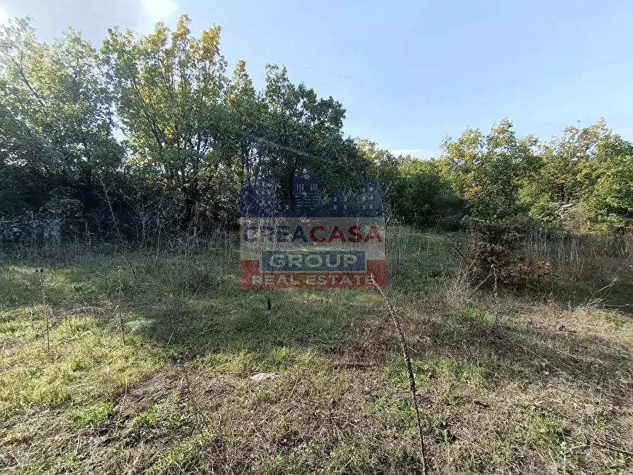 Immagine 8 di Terreno agricolo in vendita  in Contrada Arrigo a Linguaglossa
