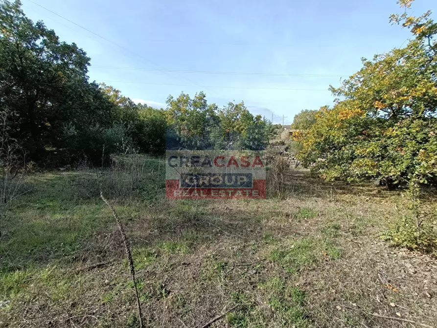 Immagine 9 di Terreno agricolo in vendita  in Contrada Arrigo a Linguaglossa