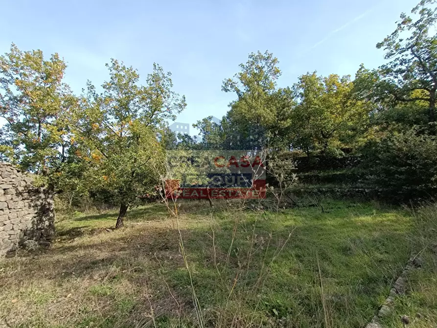 Immagine 10 di Terreno agricolo in vendita  in Contrada Arrigo a Linguaglossa