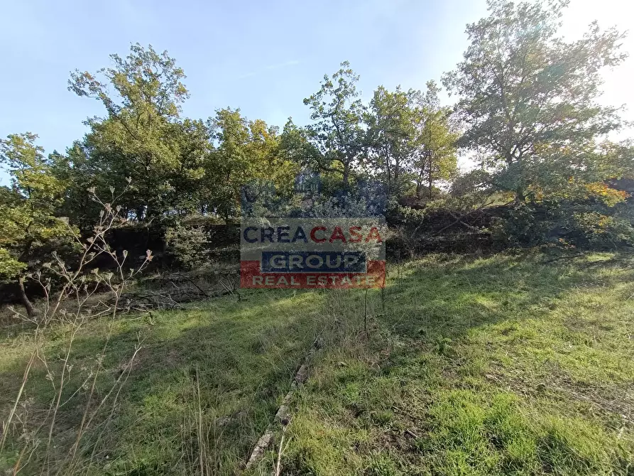 Immagine 11 di Terreno agricolo in vendita  in Contrada Arrigo a Linguaglossa