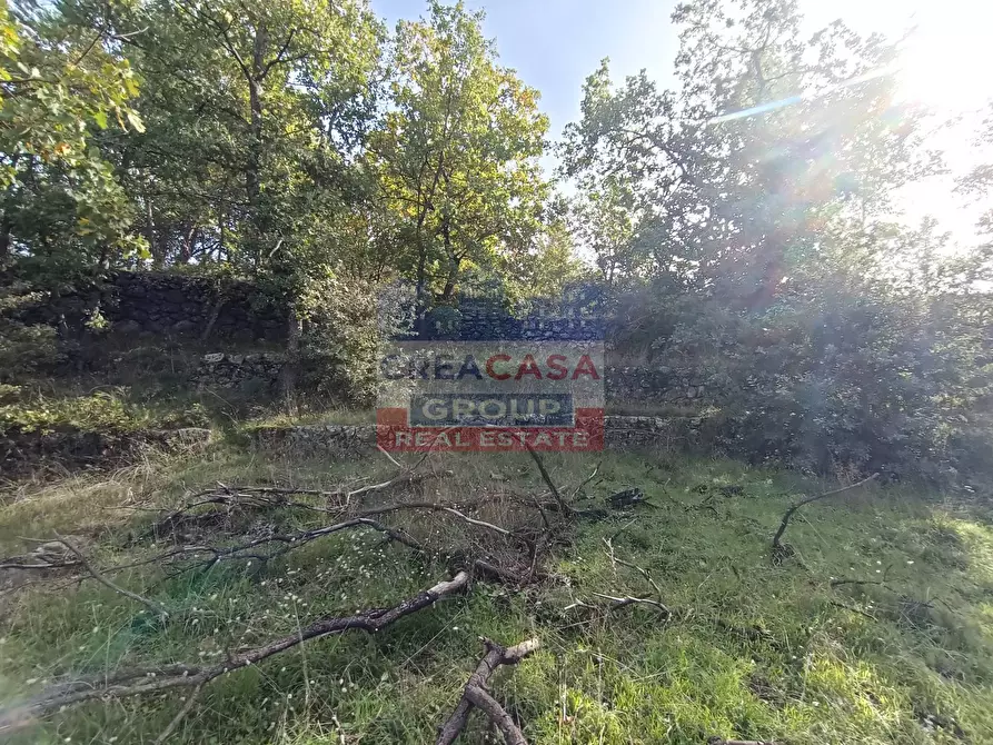 Immagine 12 di Terreno agricolo in vendita  in Contrada Arrigo a Linguaglossa