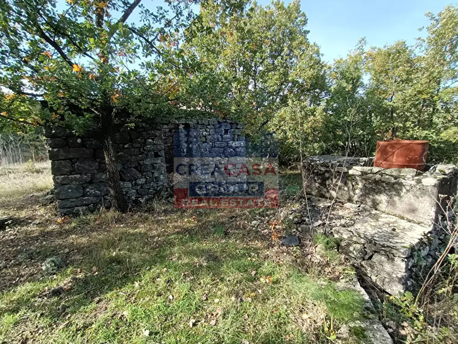 Immagine 3 di Terreno agricolo in vendita  in Contrada Arrigo a Linguaglossa