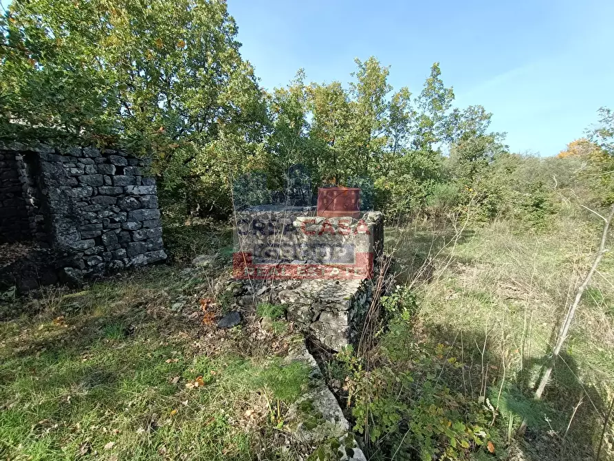 Immagine 4 di Terreno agricolo in vendita  in Contrada Arrigo a Linguaglossa