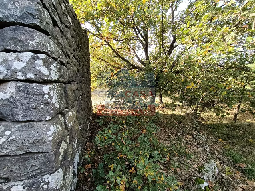 Immagine 5 di Terreno agricolo in vendita  in Contrada Arrigo a Linguaglossa