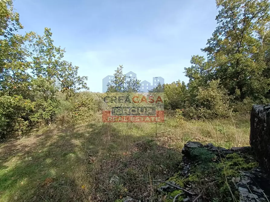 Immagine 13 di Terreno agricolo in vendita  in Contrada Arrigo a Linguaglossa