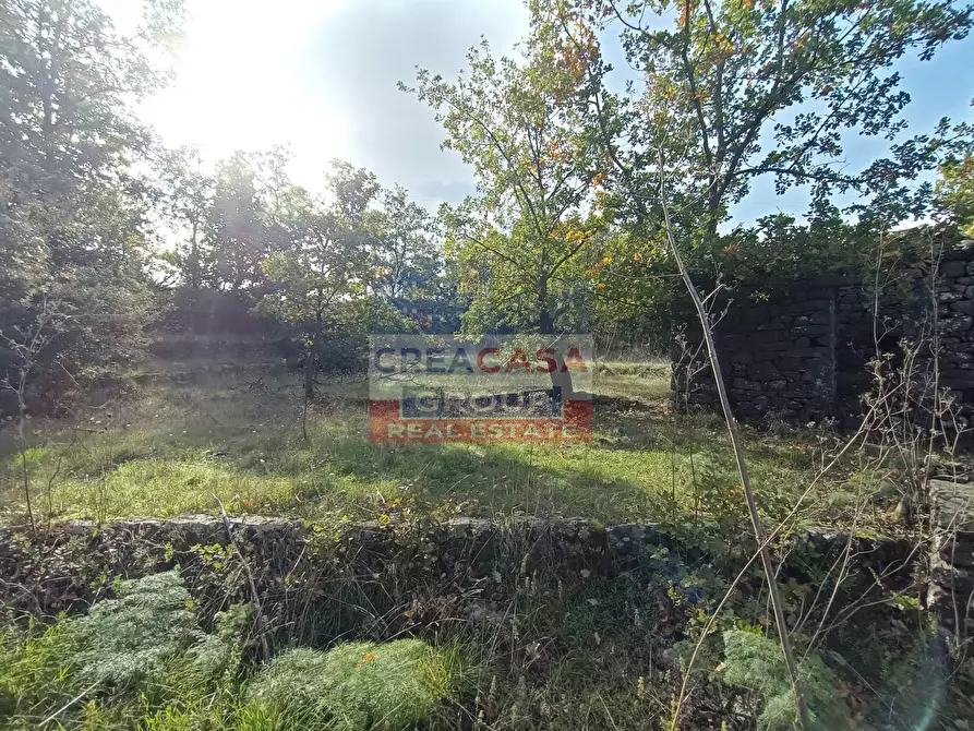 Immagine 14 di Terreno agricolo in vendita  in Contrada Arrigo a Linguaglossa