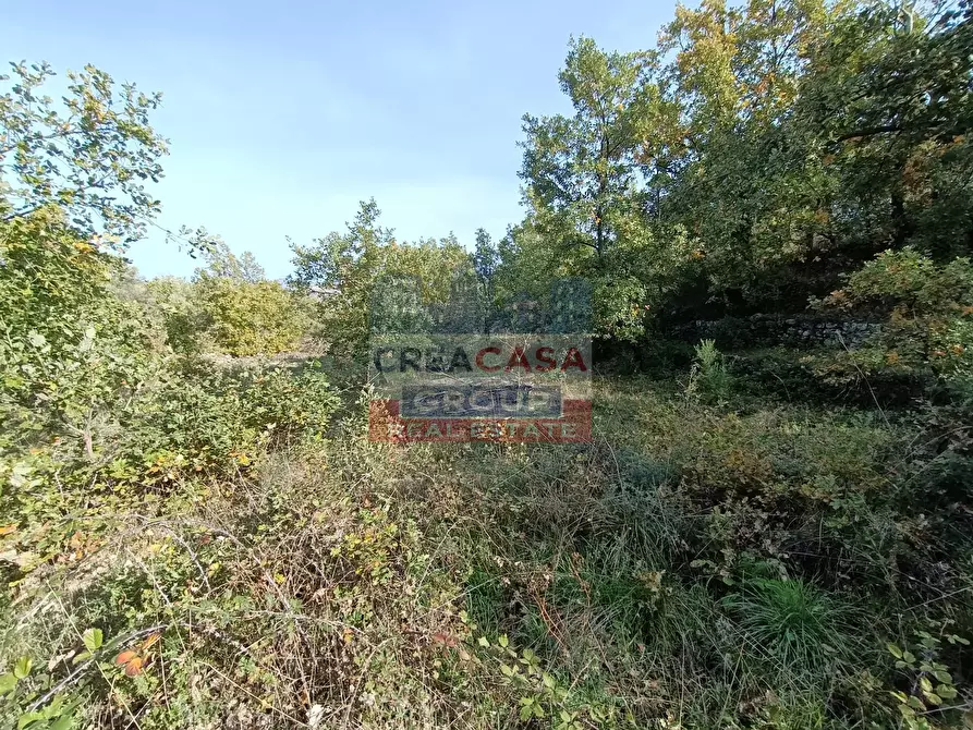 Immagine 15 di Terreno agricolo in vendita  in Contrada Arrigo a Linguaglossa