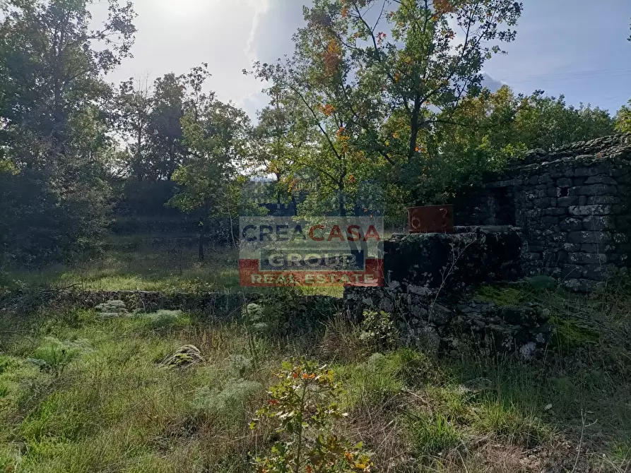 Immagine 16 di Terreno agricolo in vendita  in Contrada Arrigo a Linguaglossa