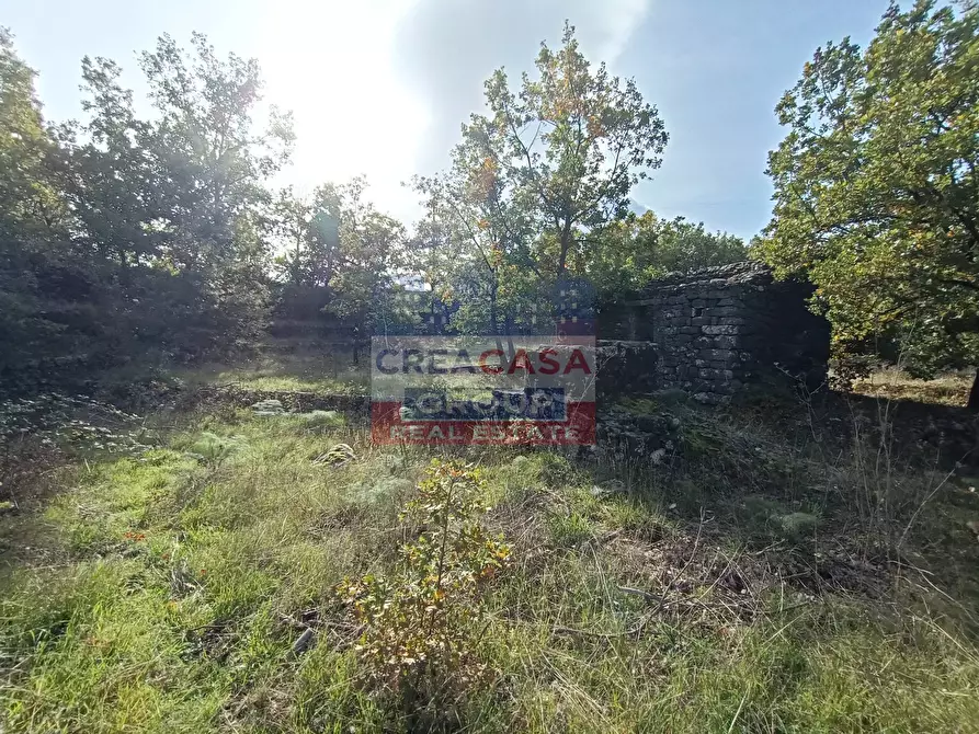 Immagine 17 di Terreno agricolo in vendita  in Contrada Arrigo a Linguaglossa