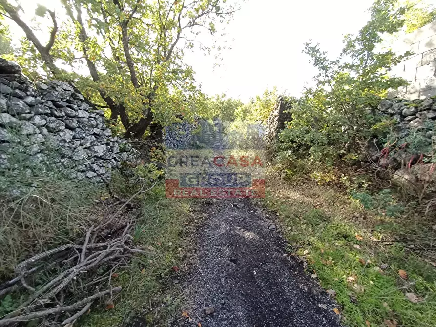 Immagine 18 di Terreno agricolo in vendita  in Contrada Arrigo a Linguaglossa