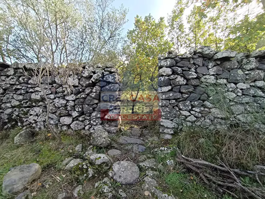 Immagine 19 di Terreno agricolo in vendita  in Contrada Arrigo a Linguaglossa