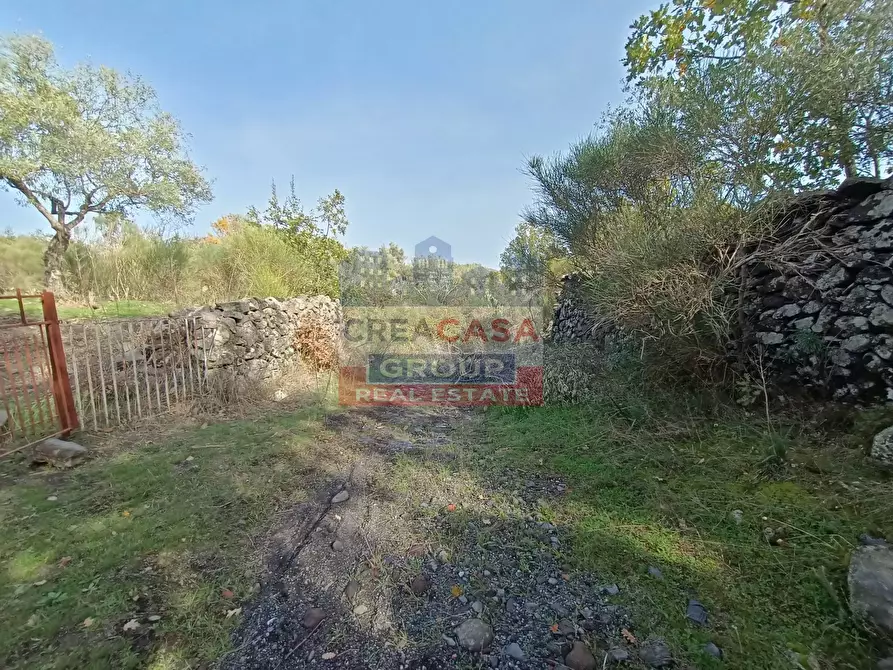 Immagine 20 di Terreno agricolo in vendita  in Contrada Arrigo a Linguaglossa