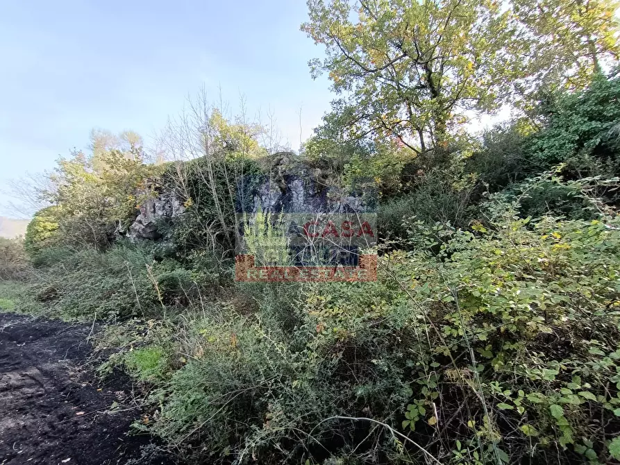 Immagine 21 di Terreno agricolo in vendita  in Contrada Arrigo a Linguaglossa