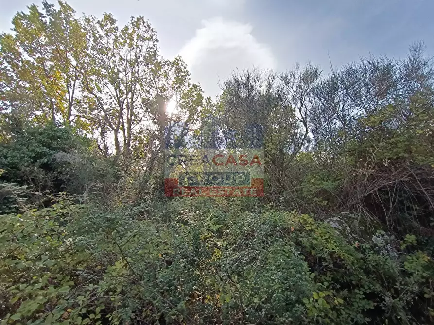 Immagine 22 di Terreno agricolo in vendita  in Contrada Arrigo a Linguaglossa