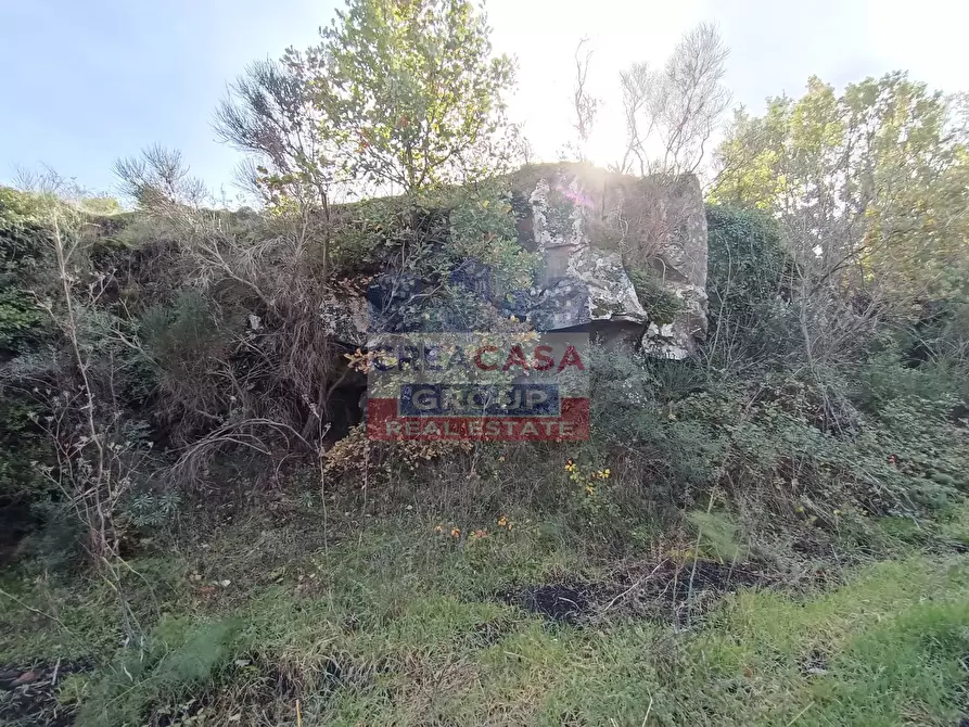 Immagine 23 di Terreno agricolo in vendita  in Contrada Arrigo a Linguaglossa